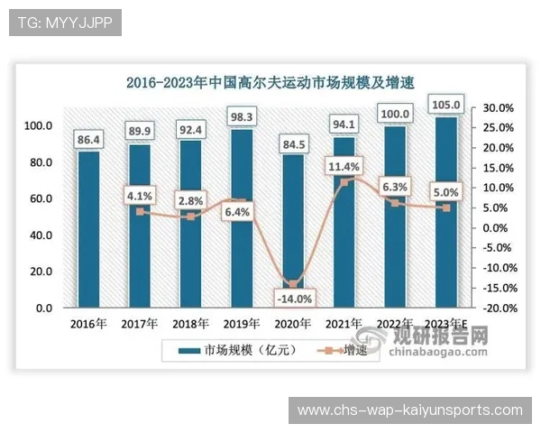 羽毛球裁判判罚讨论：标准化之路多远？